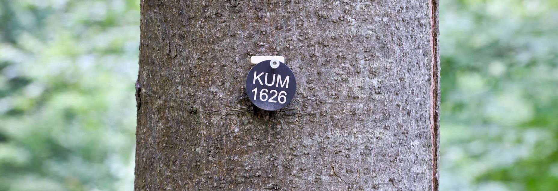 KUM 1626 - Plakette