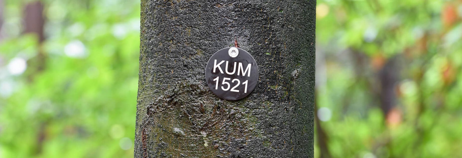 KUM 1521 - Plakette